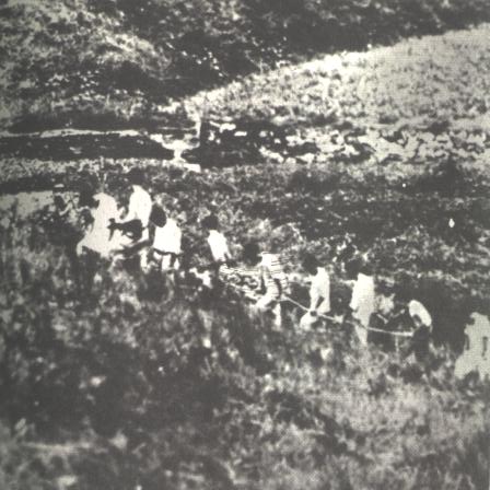 6[1].25 纯 (ġ).jpg